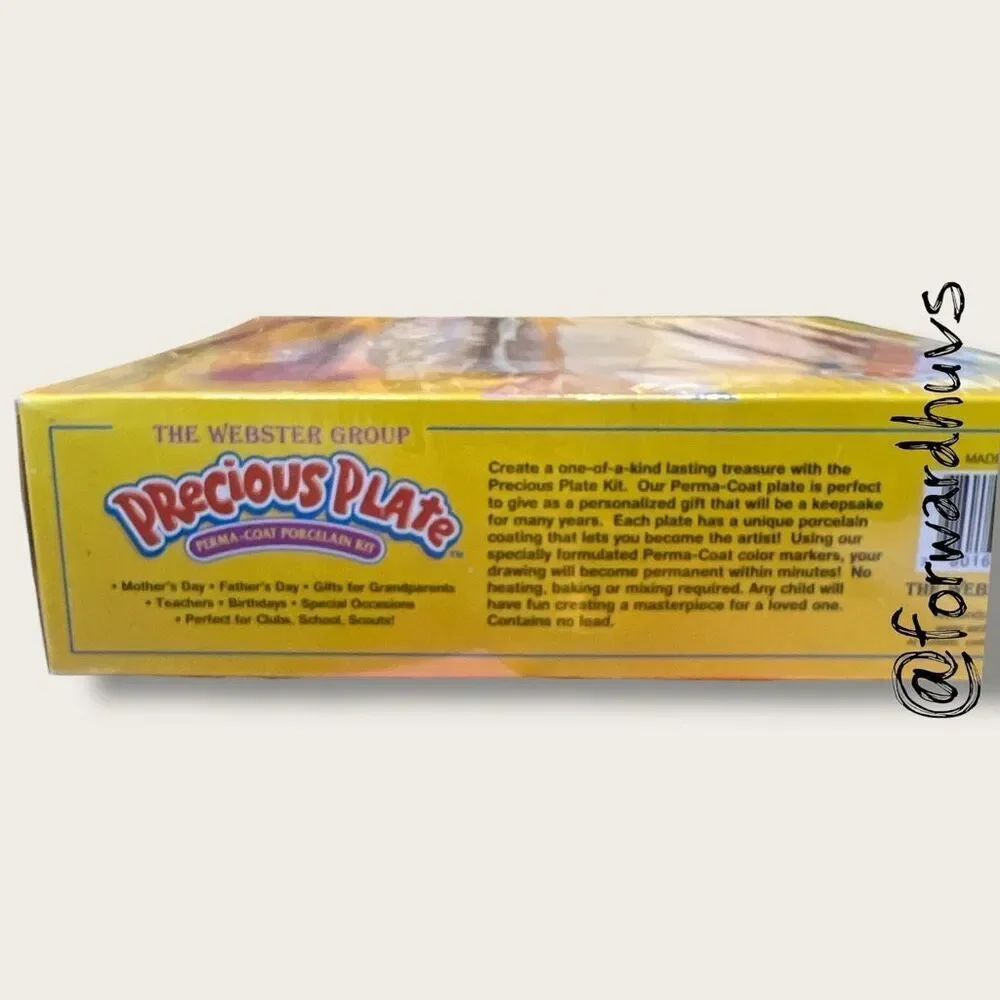 Precious Plate – Perma-Coat Porcelain Kit – The Webster Group – Complete Craft S